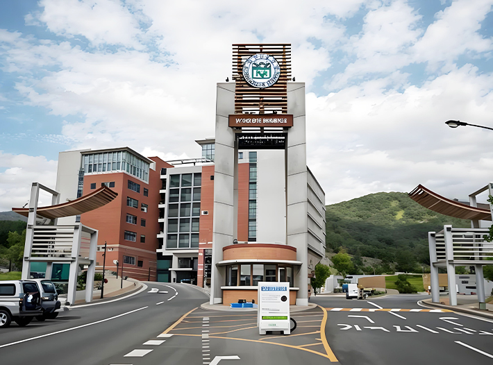 釜山大学本硕博连读0花费